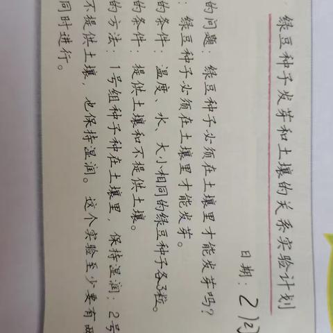 绿豆种子发芽和土壤的关系