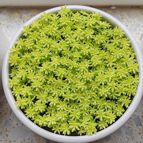 【引领共画同心圆📚 书香传承铸造汉字魂】