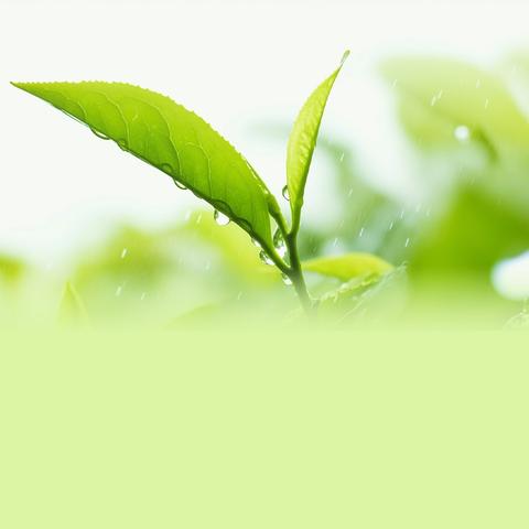 赞老年大学声乐班