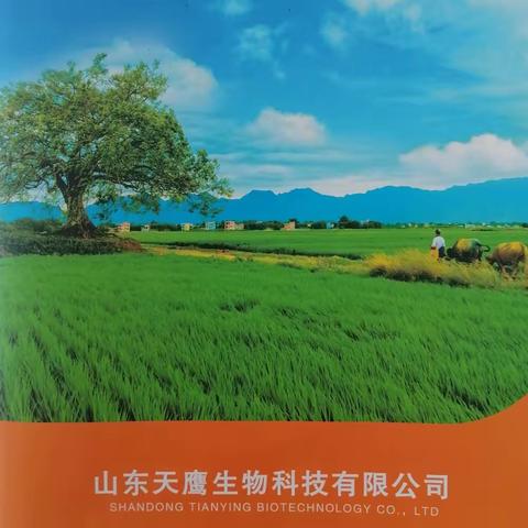 用户16641072的简篇