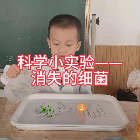 科学小实验《消失的细菌》 ——大C班