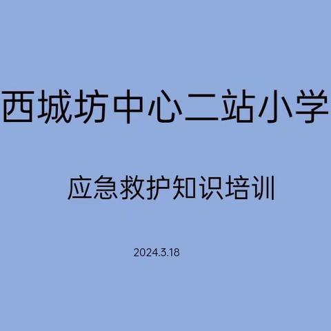 关爱生命    “救”在身边——西城坊中心二站小学开展应急救护知识培训活动