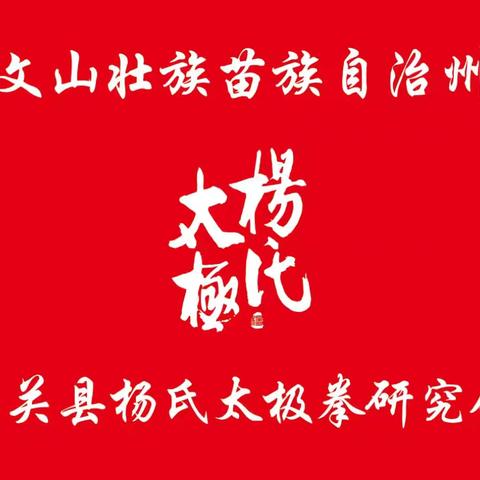 成绩斐然    未来可期  ——马关县杨氏太极拳研究会代表队参加竞赛创佳绩