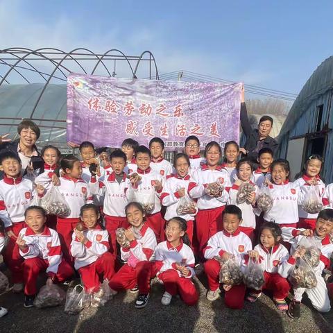 体验劳动之乐，感受生活之美——三年十一班劳动综合实践活动