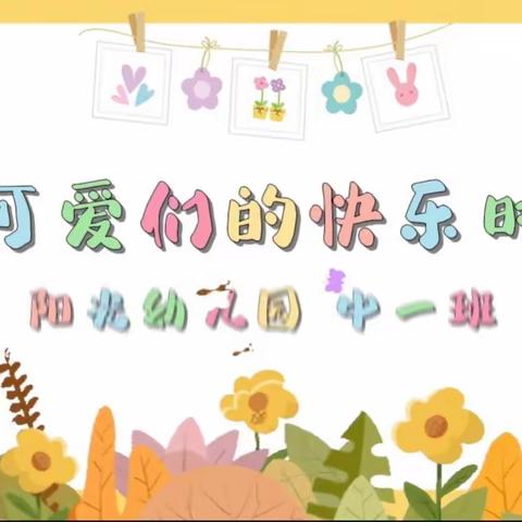 阳光幼儿园中一班第十六周教学回顾