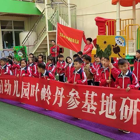 嵩县城关镇华阳幼儿园秋季叶岭丹参基地研学活动