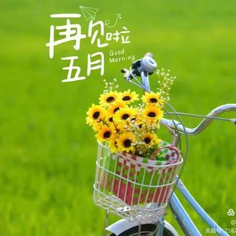 五月迎“夏日” 中班精彩回顾