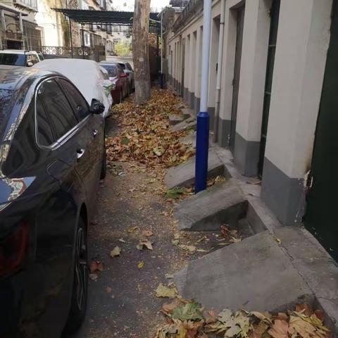 落叶清扫志愿行，共建和谐文明院