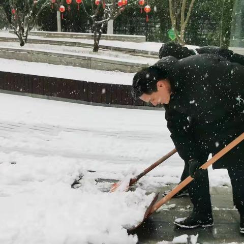 以雪为令，闻雪而动