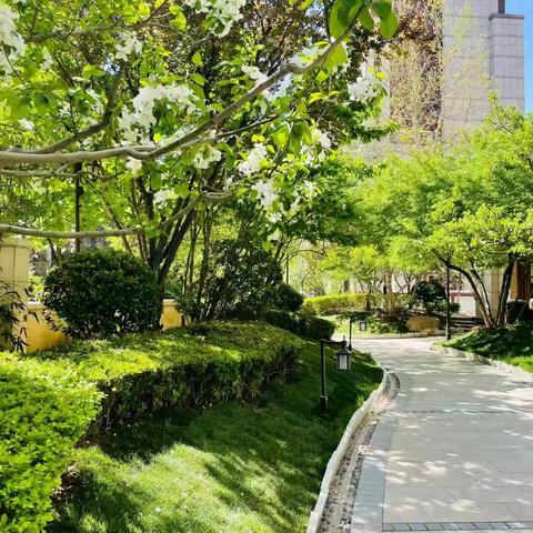 花语墅2025年3月项目工作简报