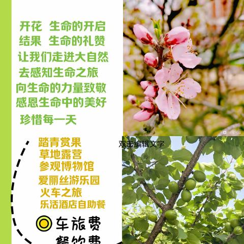 慧声会语口才研学游