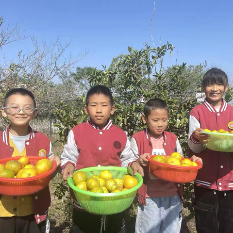 以“劳”树品德，以“动”促成长——蓼南中心小学开展劳动教育实践活动