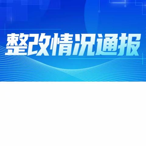 中共禄劝彝族苗族自治县发展和改革局党组关于巡察整改进展情况的通报