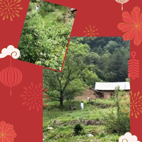 入户体检暖人心，情系老人送健康