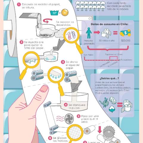UOI主题探究实录｜3月 How we organize ourselves 我们如何组织自己
