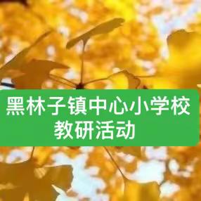 聚焦新课标 共研促成长                                                            —黑林子镇中心小学校教学研讨活动