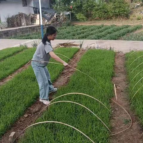 高二四班五一劳动节“回家劳动”纪实