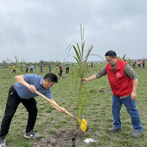 2025年公坡镇全民义务植树活动