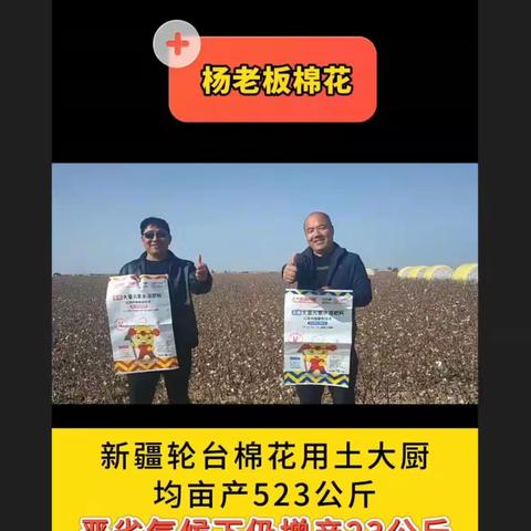 2023灾年，种植如何增产增收