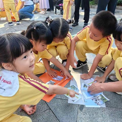 秋天的诗与远方：东方红幼儿园中三班变形金刚组秋游纪实 🍂🌈