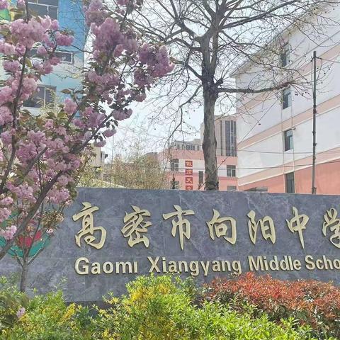 “同课异构展风采，同教共研促提升”——向阳中学与育才中学化学双向预约活动