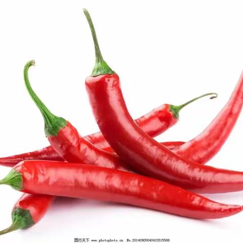 辣椒