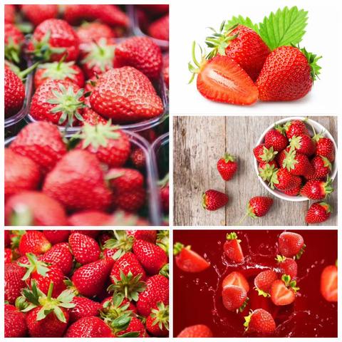 草莓🍓