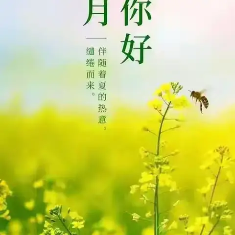 华保盛集团防城港市直机关食堂物业服务中心2025年6月工作月报