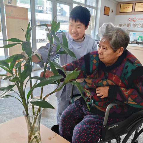 绿意与温情的双向滋养