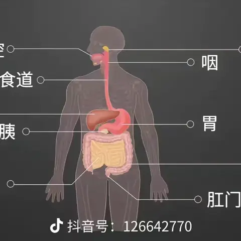 关于食管癌、胃癌的“两三事”