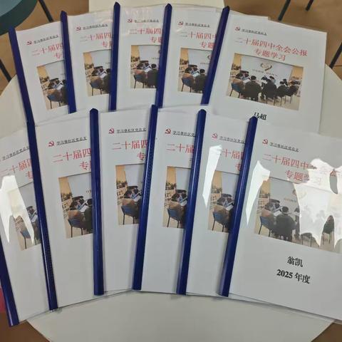 深学细悟明方向 重温践悟担使命 ——学习巷社区党总支持续掀起学习党的二十届四中全会公报热潮