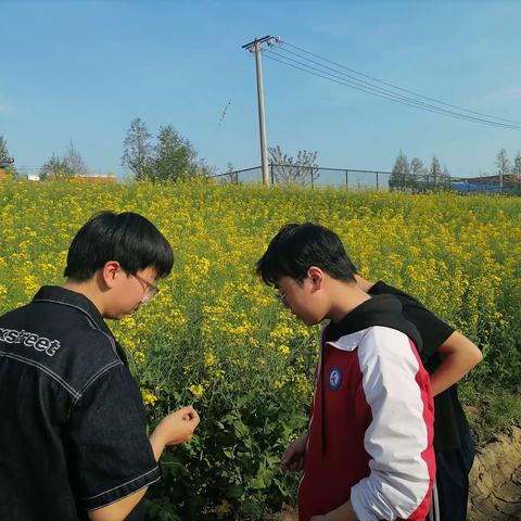 召陵区实验高中学科社团纪实—动物趣研社“走进自然，探索生命之美”