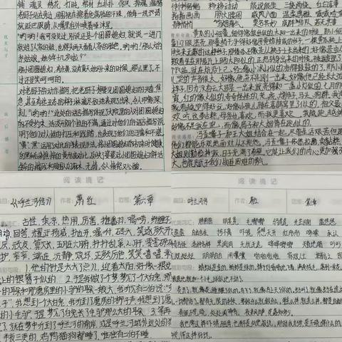墨香雅韵，书海拾贝 ‍———让阅读引领我们走向更美好的精神世界