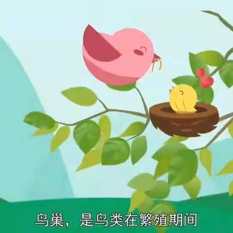 大班美术《鸟窝》