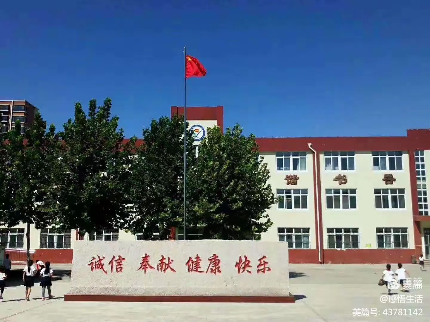 简篇-快乐学习,共同进步,茁壮成长——我为学校代言