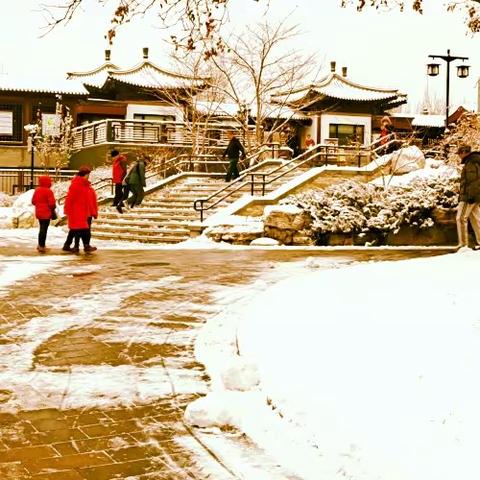 2023年第一场雪瑞雪丰年原创