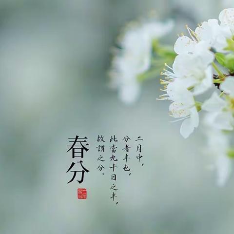 “知节气，迎春分”  ——中一班“春分”主题活动