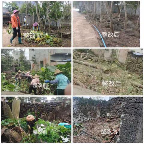 永兴镇和美乡村现场会筹备工作情况日报（4.5）