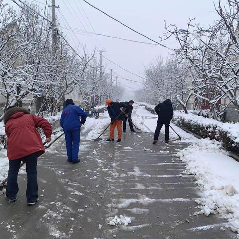 “义务清雪，除冰暖心”