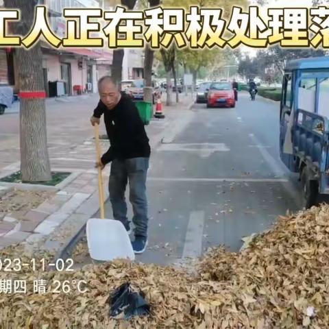 多措并举开展秋季落叶清扫 保障乐陵环境卫生整洁靓丽—正洁