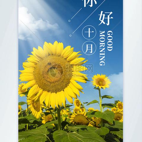 2023年10月金榜花园小区物业工作简报