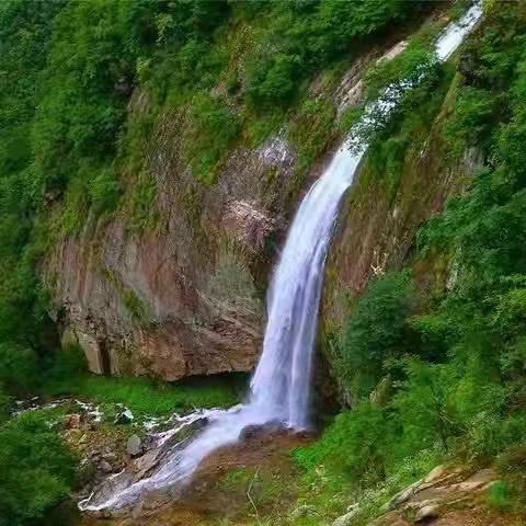 快乐六一马鬃岭、画石谷、大湾村、古树群，神州旅游一日游