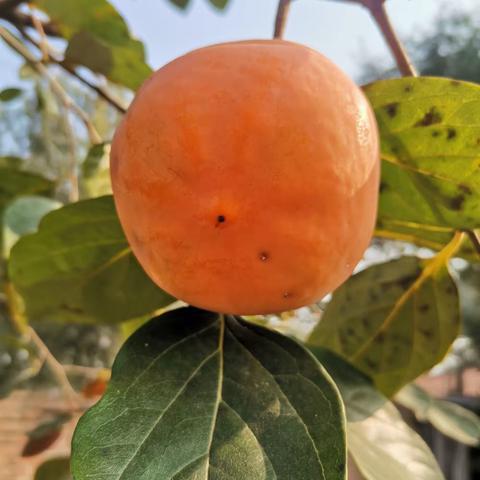 生活中的美好时光