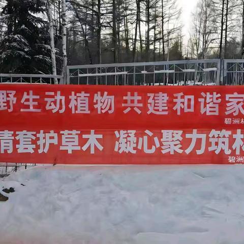 碧洲林场开展“世界野生动植物日”主题宣传活动