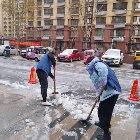 府前社区开展“清雪除冰   安全出行”志愿活动