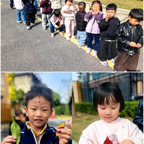 【中御·班级活动】共赴一场秋天的约会——小四班