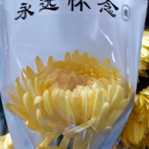 大二班四月精彩瞬间