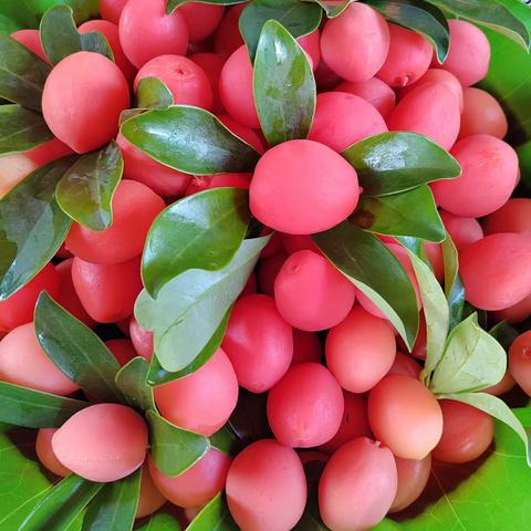 不留遗憾，重返“理想的花园”