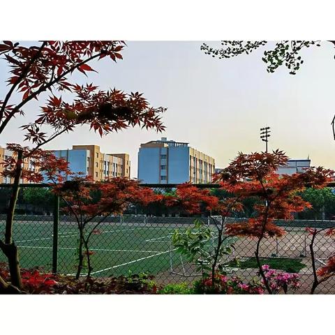讴歌青春，绽放活力 ‍—铜梁巴中2027届班级合唱比赛