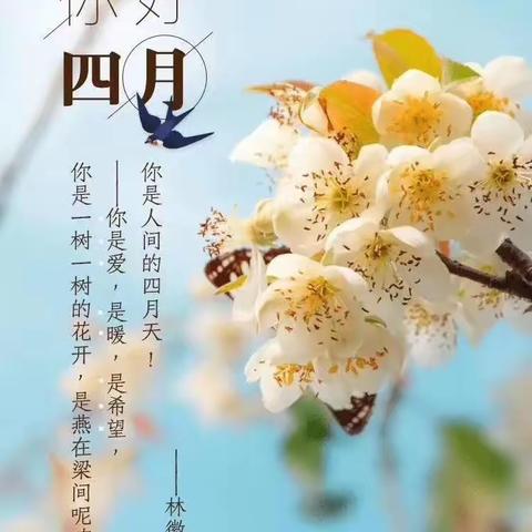 相约四月，“幼”见美好——小逗号幼儿园学一班四月美篇